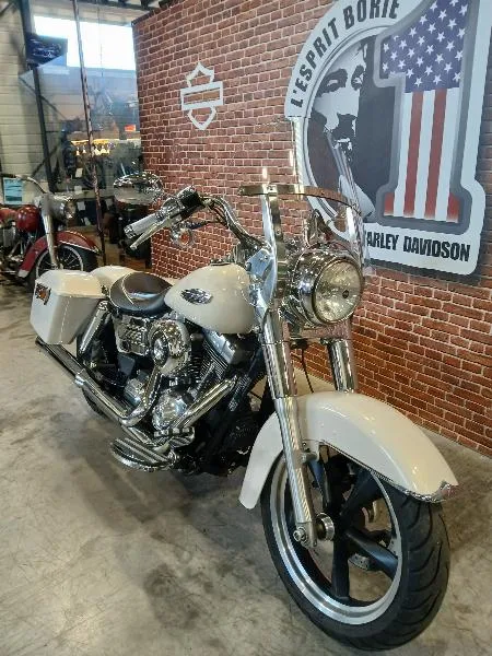 DYNA SWITCHBACK 1690