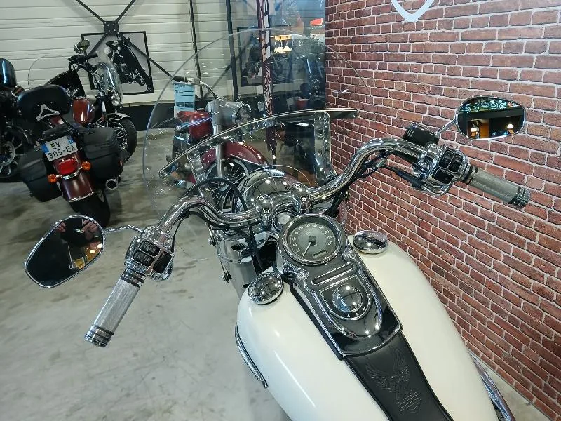 DYNA SWITCHBACK 1690