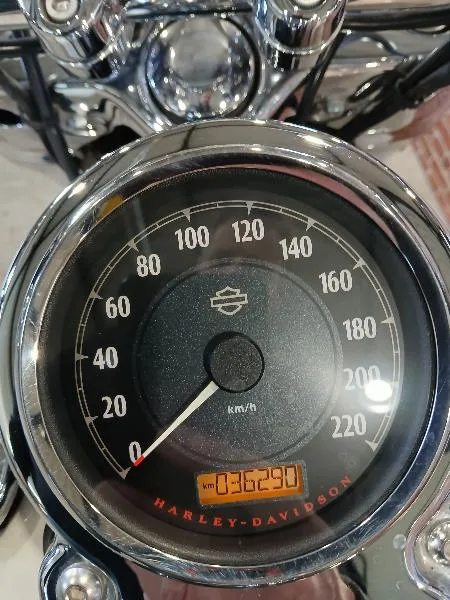 DYNA SWITCHBACK 1690