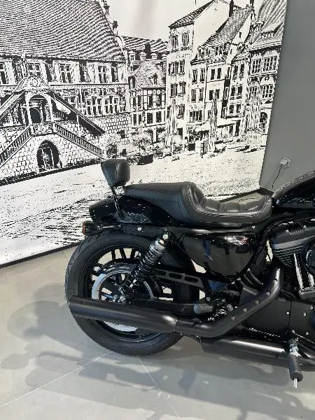 SPORTSTER ROADSTER 1200