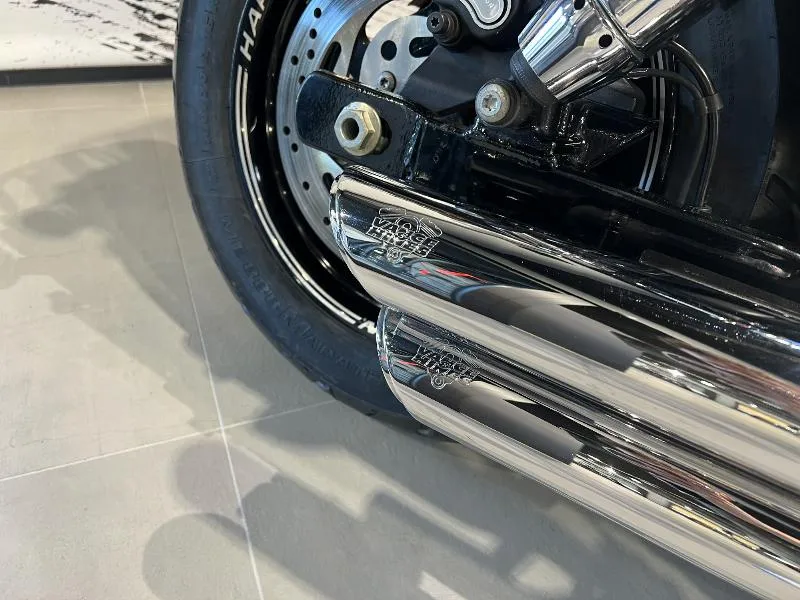 DYNA FAT BOB 1584