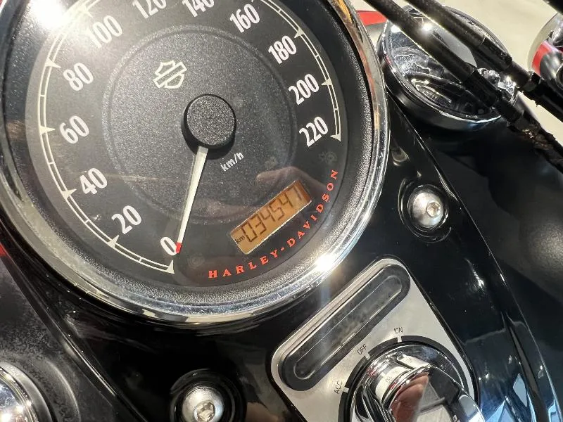 DYNA FAT BOB 1584