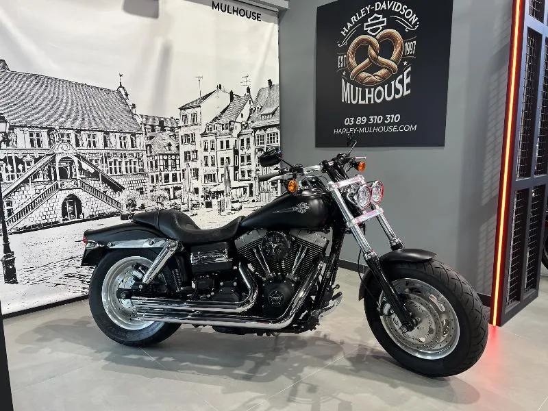 DYNA FAT BOB 1584
