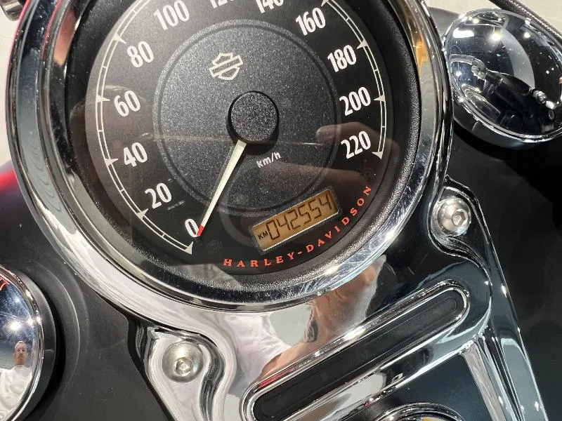 DYNA FAT BOB 1584