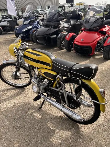 INDIANA 50