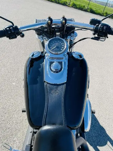 DYNA FAT BOB 1584
