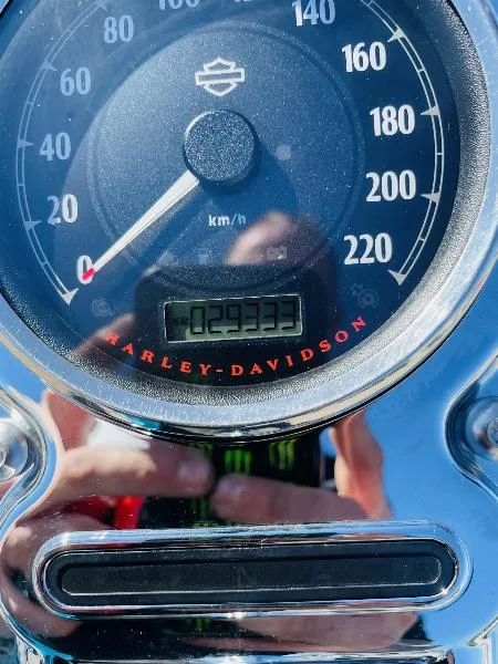 DYNA FAT BOB 1584