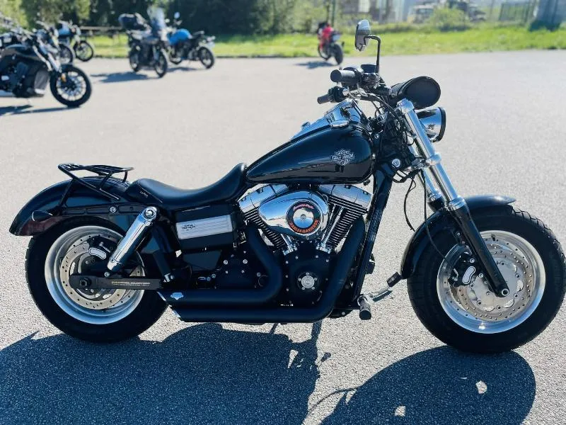 DYNA FAT BOB 1584