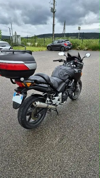CBF 600 S