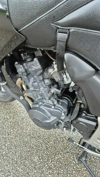 CBF 600 S