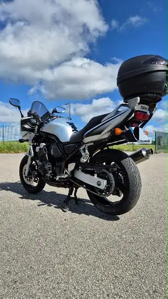 FZS FAZER