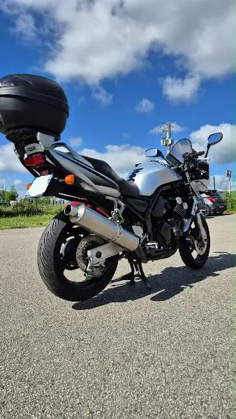 FZS FAZER