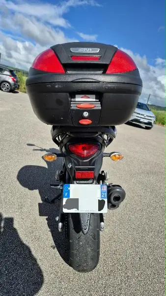 GLADIUS 650