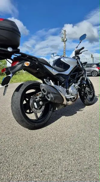 GLADIUS 650