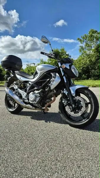 GLADIUS 650