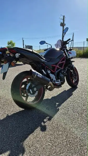 SV 650