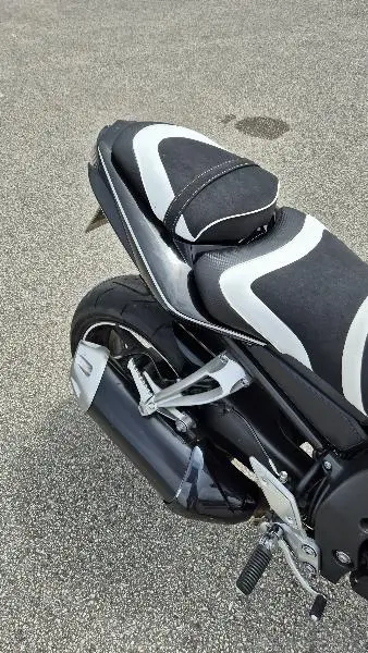 FZ1