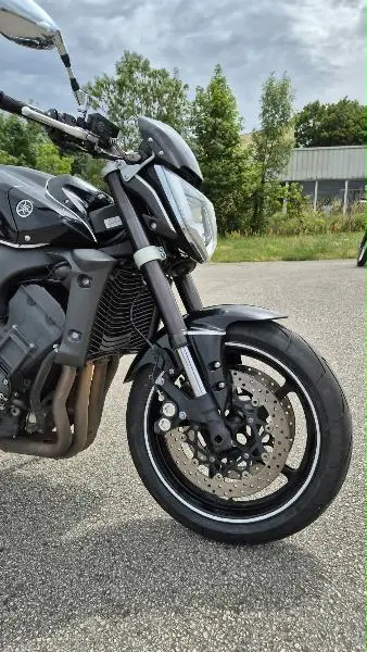 FZ1