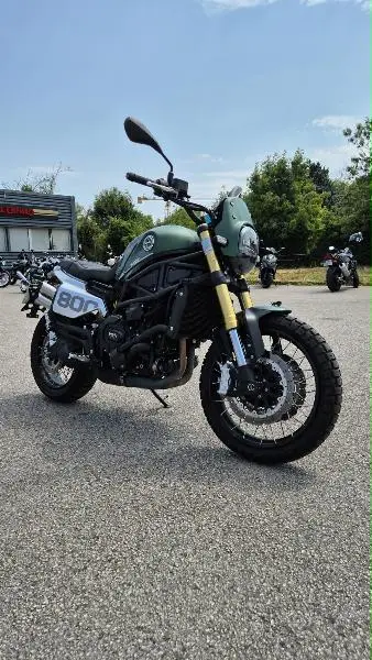 LEONCINO 800 T