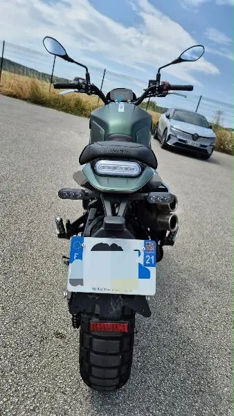 LEONCINO 800 T