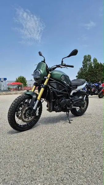 LEONCINO 800 T