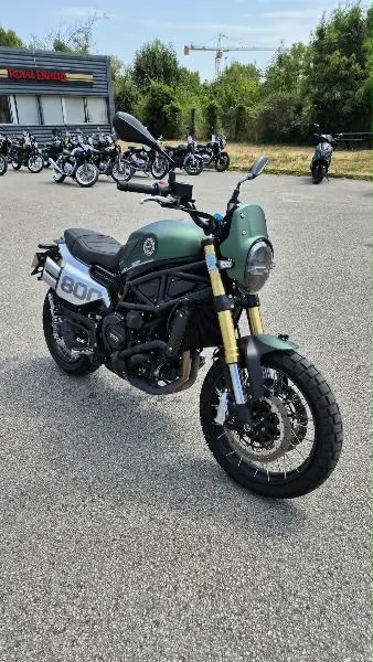LEONCINO 800 T