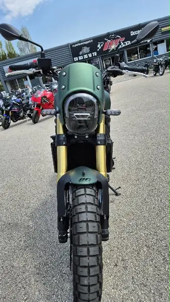 LEONCINO 800 T