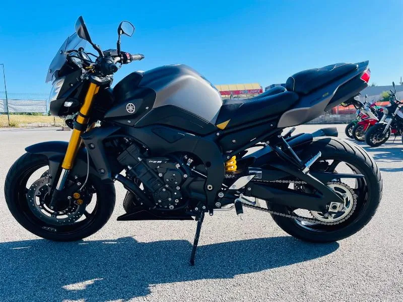 FZ8