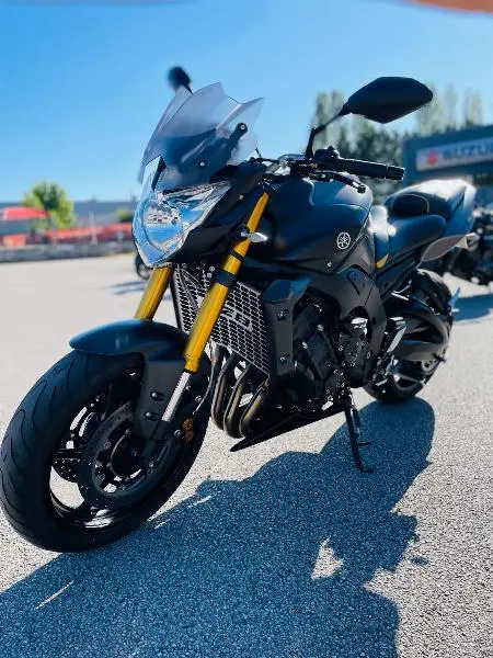 FZ8