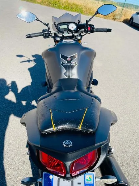 FZ8
