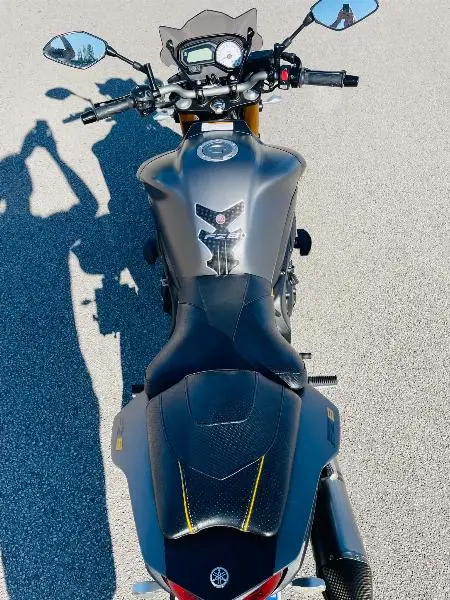 FZ8