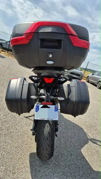 TIGER SPORT 660