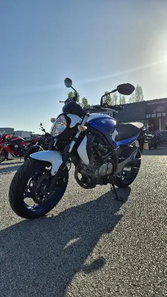 GLADIUS 650