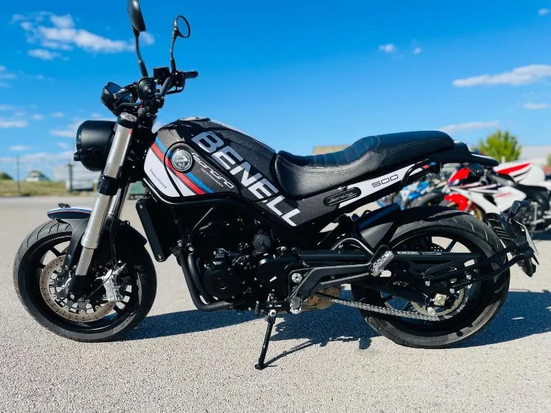 LEONCINO 500