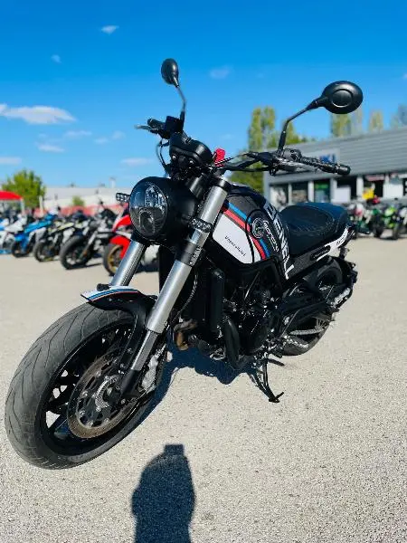 LEONCINO 500