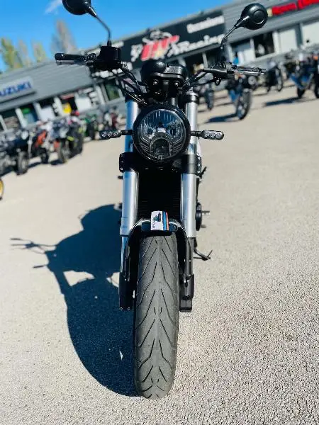 LEONCINO 500