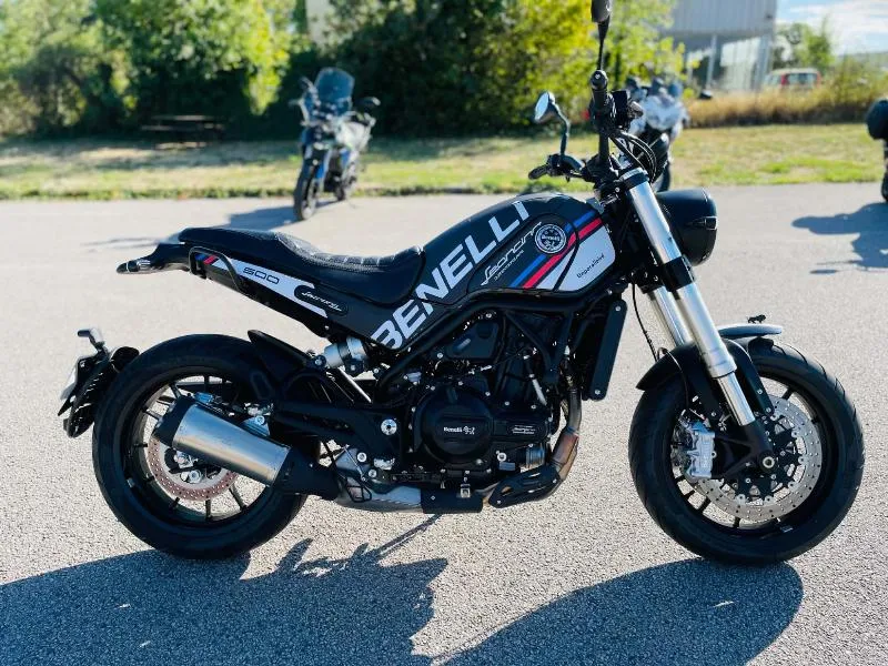 LEONCINO 500