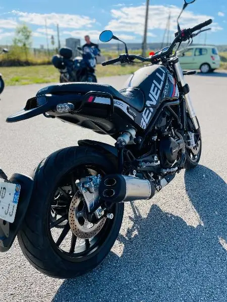 LEONCINO 500
