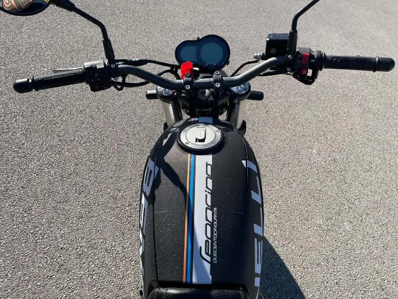 LEONCINO 500