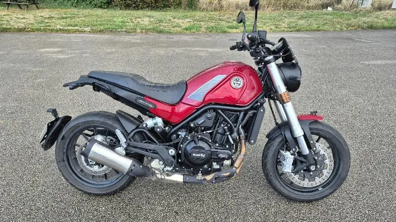LEONCINO 500