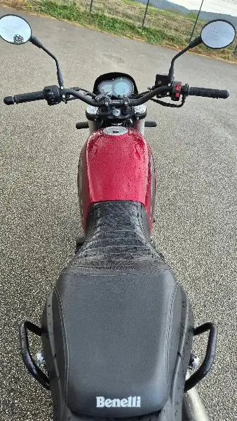 LEONCINO 500