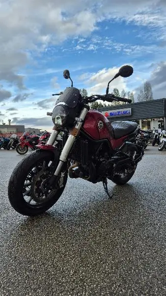 LEONCINO 500