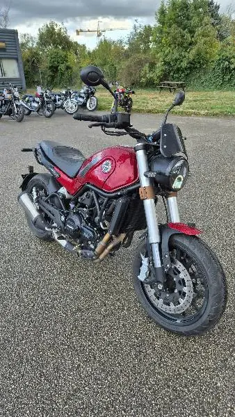 LEONCINO 500