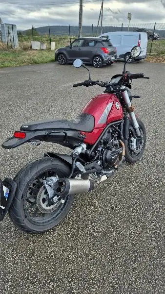 LEONCINO 500