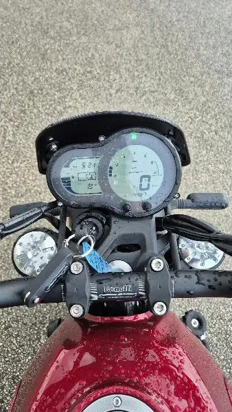 LEONCINO 500