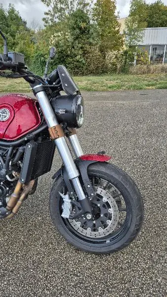 LEONCINO 500