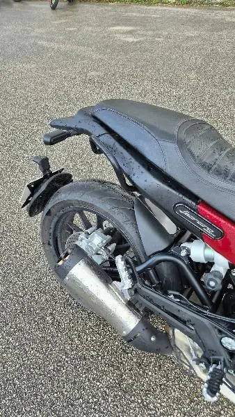 LEONCINO 500