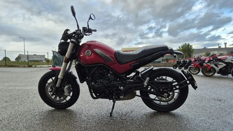 LEONCINO 500