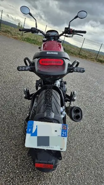 LEONCINO 500