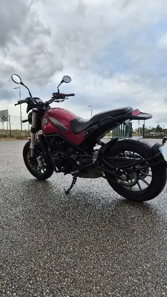LEONCINO 500